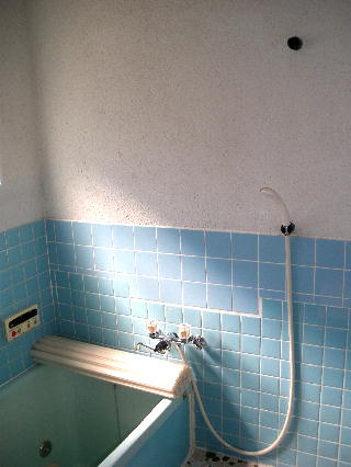 Bath. Shower, Bright bathroom