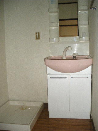 Washroom. With shampoo dresser