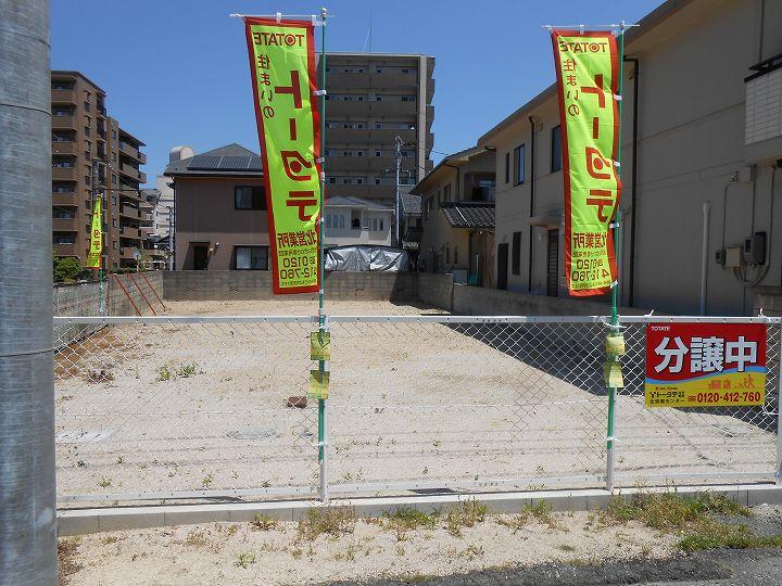 Local land photo