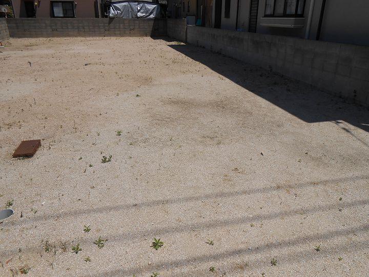 Local land photo