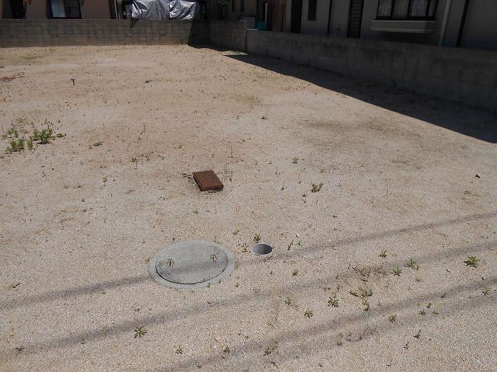Local land photo
