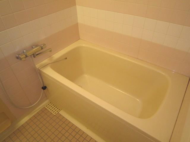 Bathroom. It is a space unit bus of relaxation