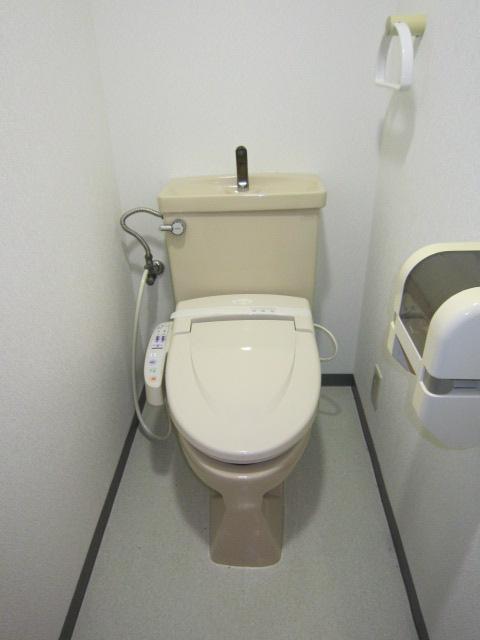 Toilet. Cleaning feature with toilet