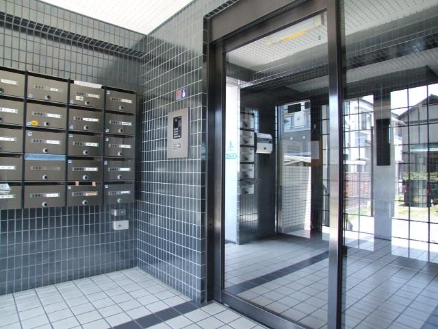 Entrance. Auto-lock of the apartment entrance