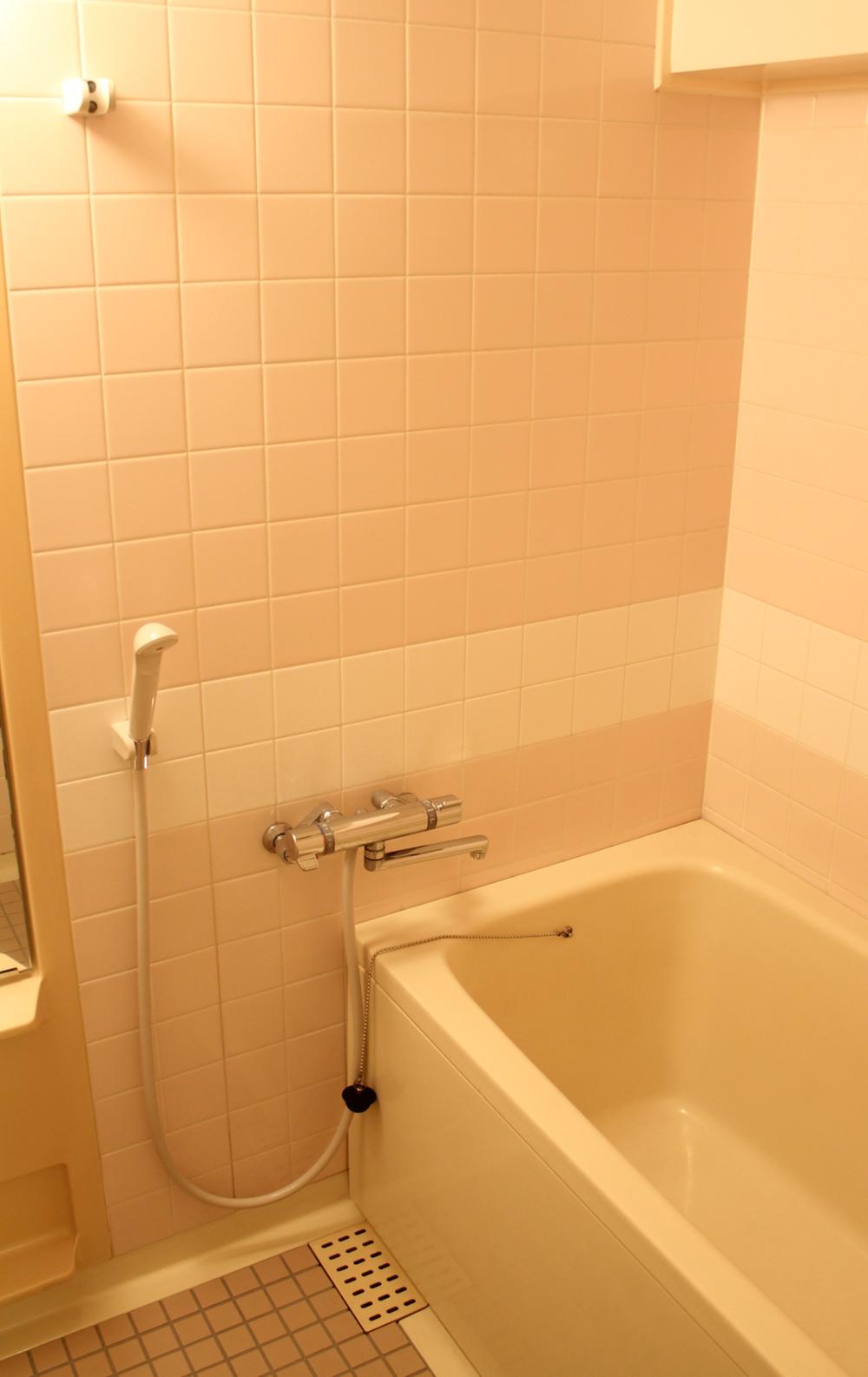 Bathroom. Bathroom