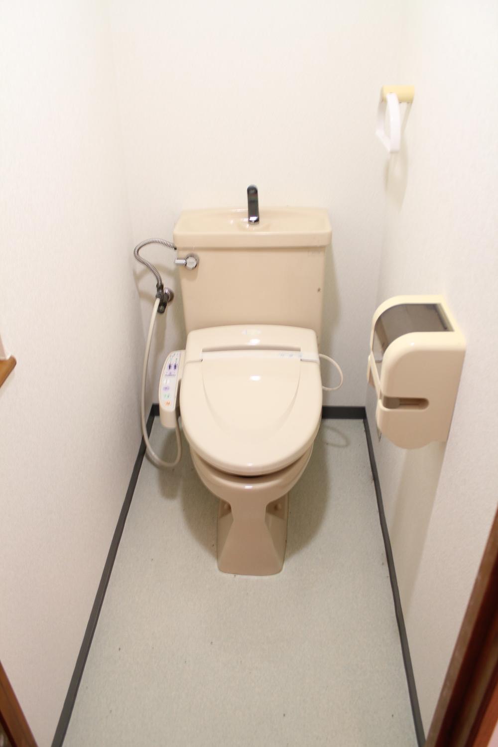 Toilet. Indoor photo