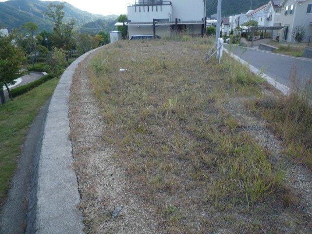 Local land photo