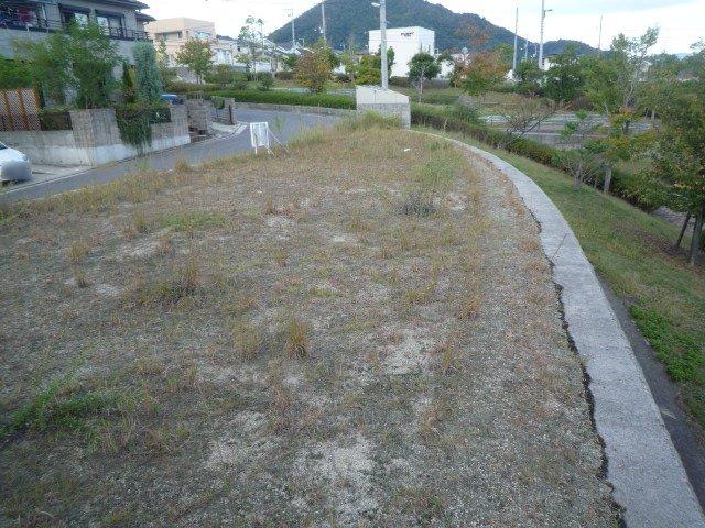 Local land photo