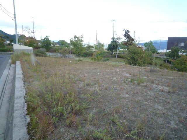 Local land photo
