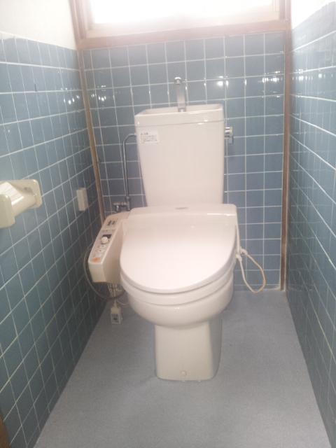 Toilet. Indoor (July 2012) shooting
