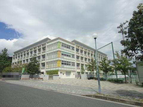 Junior high school. 1074m until Otsuka junior high school