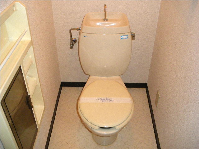 Toilet. Storage case comes with