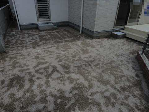 Local appearance photo. Garden