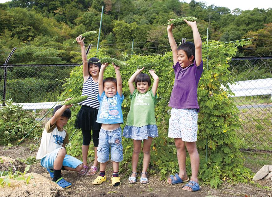 Other local. Harvest the bitter gourd in the garden area (within the town). Garden grounds in the two places in the Town, There is also a place of exchange between residents, from children to adults (use into account 1000 yen / Year)