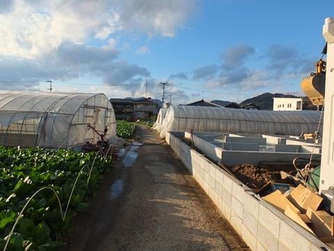 Local photos, including front road