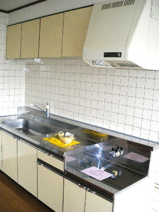 Kitchen. Long type of sink
