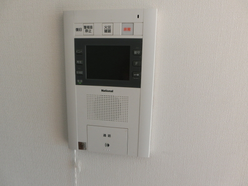 Security. Monitor with intercom