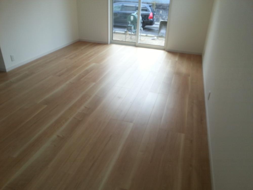 Living. Indoor (March 2013) Shooting