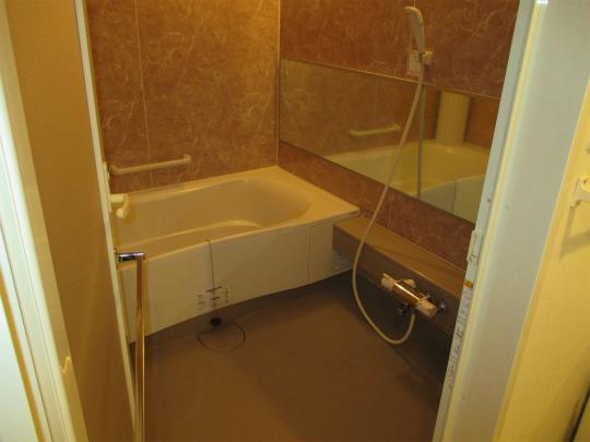 Bathroom. The size is 16 × 20. With (reference image) Bathroom Dryer.