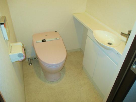 Toilet. It is with hand washing. (reference image)