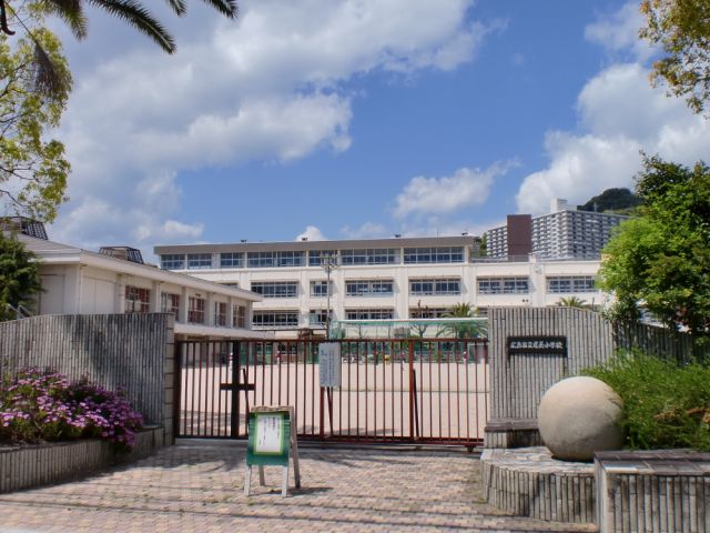 Primary school. Municipal tail length up to elementary school (elementary school) 740m