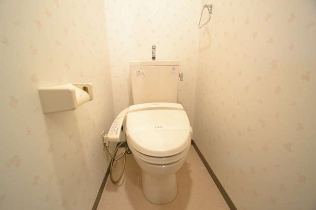 Toilet.  ☆ It is a restroom with a bidet ☆