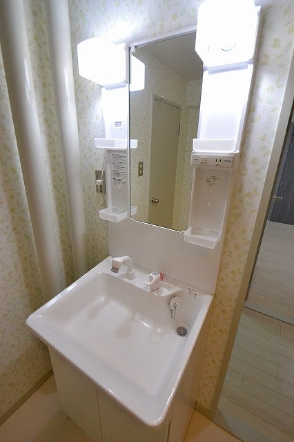 Washroom.  ☆ Is Indoor Laundry Area. Also equipped with a separate vanity ☆