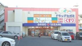 Drug store. Drag Segami to Shinonome shop 841m
