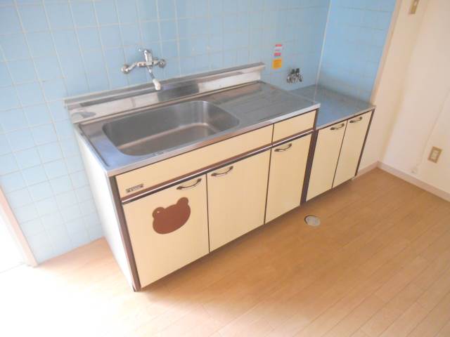 Other. Kitchen is also easy to use bright