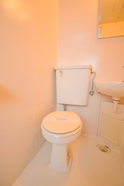 Toilet. Model room photo (present condition priority)