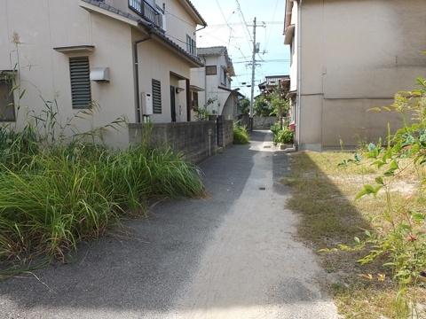 Local photos, including front road