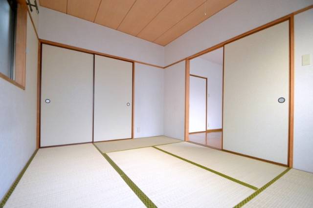 Living and room. Bright Japanese-style room part with a window