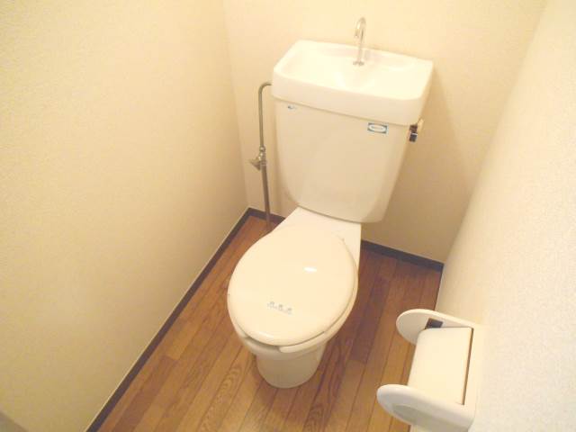 Toilet. Firmly it becomes separate toilet