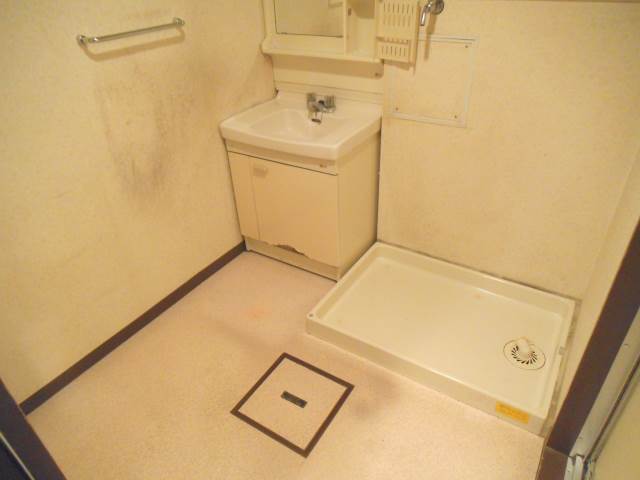 Washroom. There yard undressing independent sink and washing machine inside the room