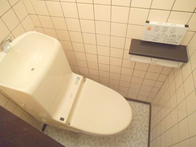 Toilet. Also has a bidet