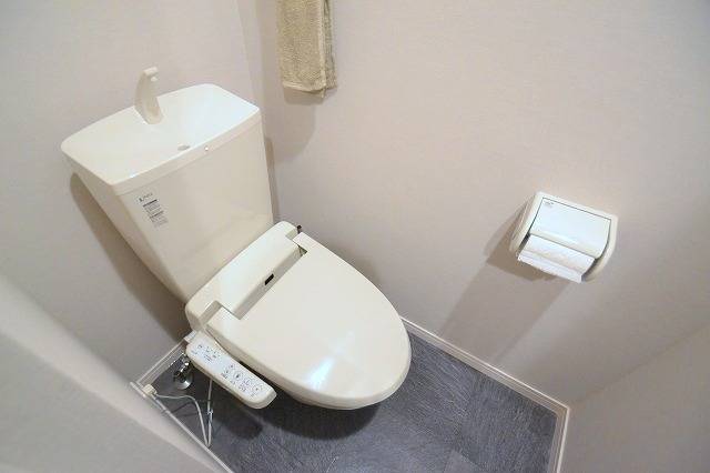 Toilet. Washlet toilet. The photograph is an image.