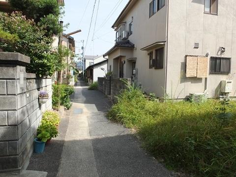 Local photos, including front road