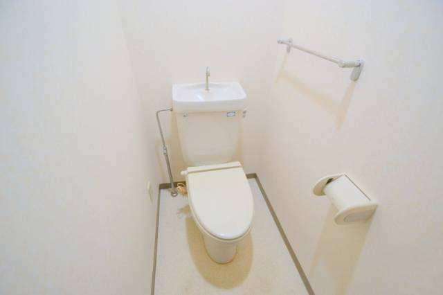 Toilet. Toilet with storage shelf at the top