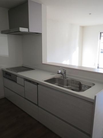 Kitchen. Indoor (12 May 2013) Shooting