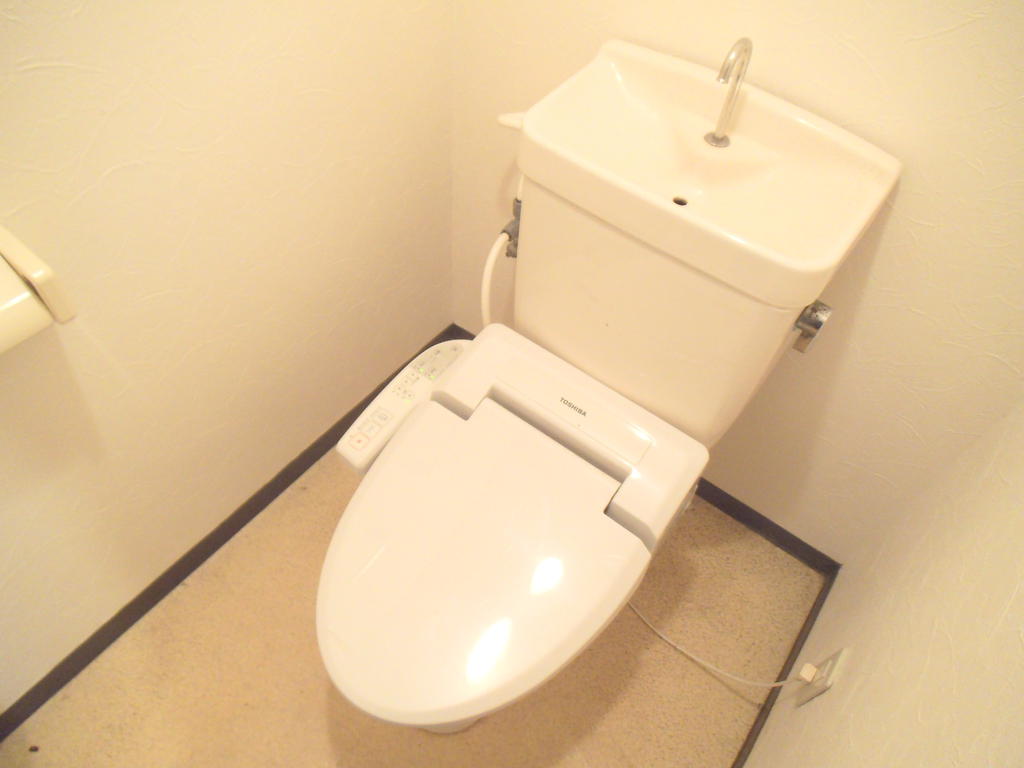 Toilet. Actually bidet but also with pre-cleaning