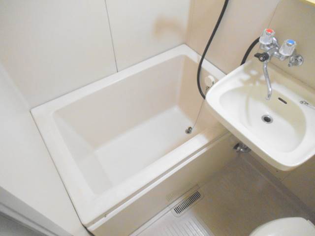 Other. It is spacious happy size also the bath