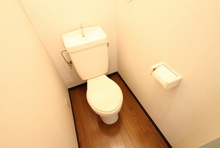 Living and room. Toilet