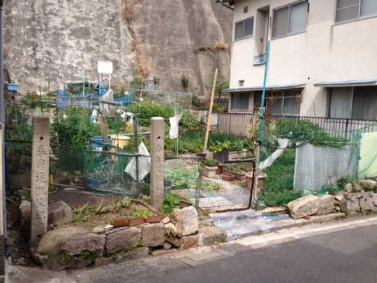 Local land photo. It is the current state of this land.  It is perfect to be made, such as vegetables. 