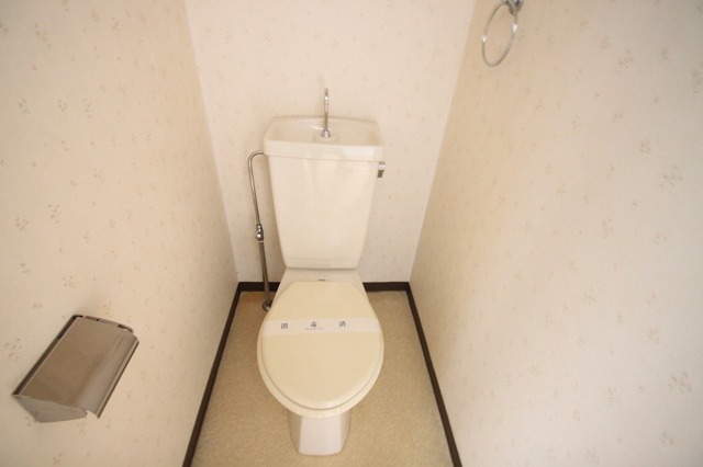 Toilet. Western-style toilet