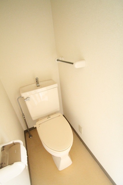 Toilet. It is a beautiful toilet of Western-style.