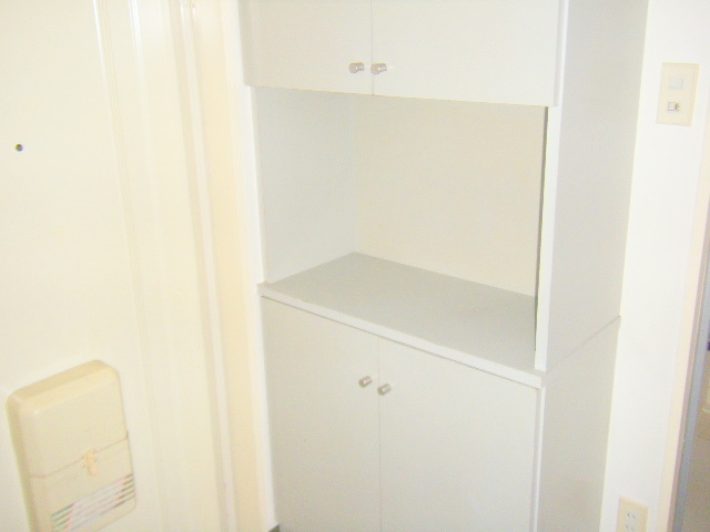 Other. There is also a cupboard