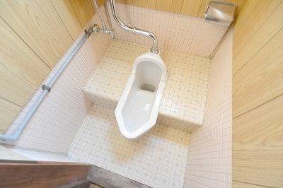 Toilet. Since there is a step, It is good even wearing a Western-style toilet seat.
