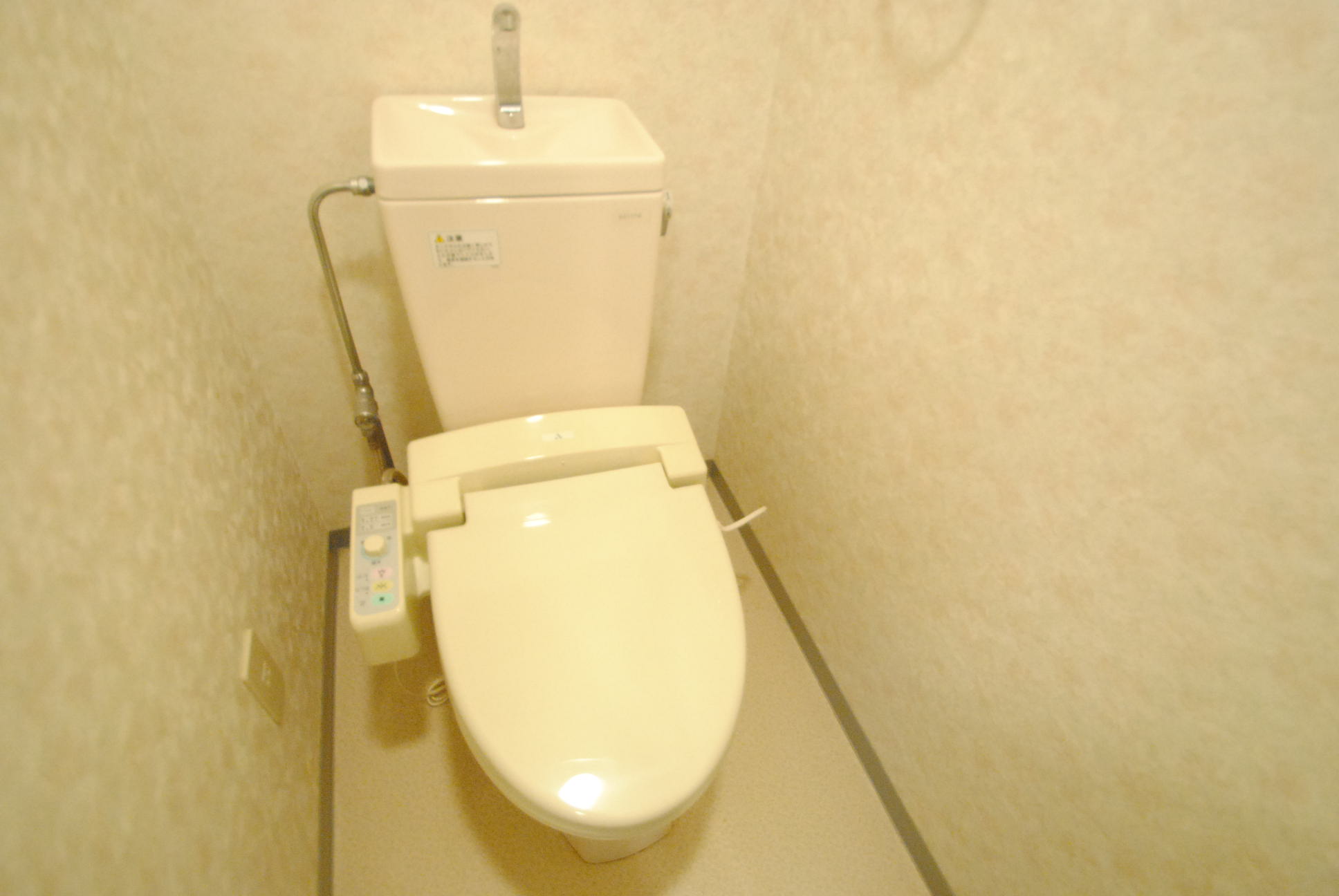 Toilet. Bidet