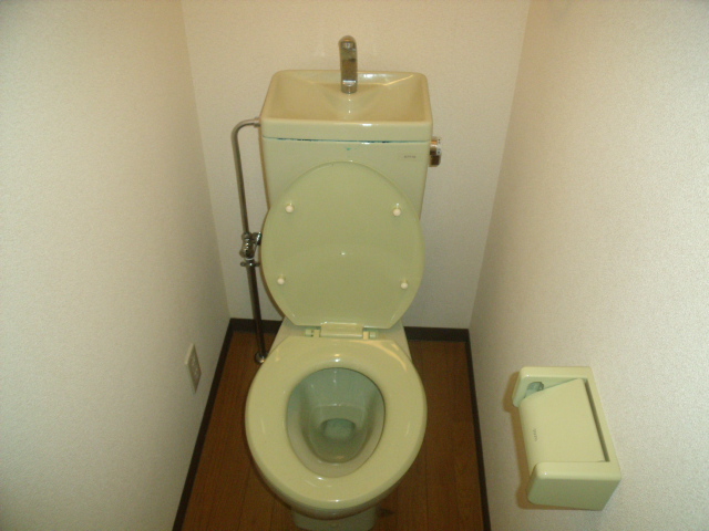 Toilet. Western-style toilet.