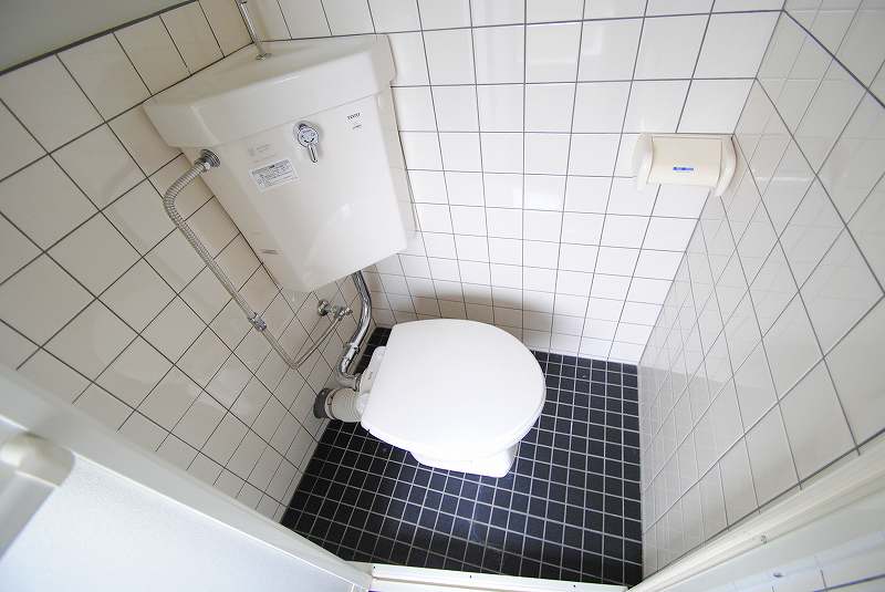 Toilet. Western-style toilet